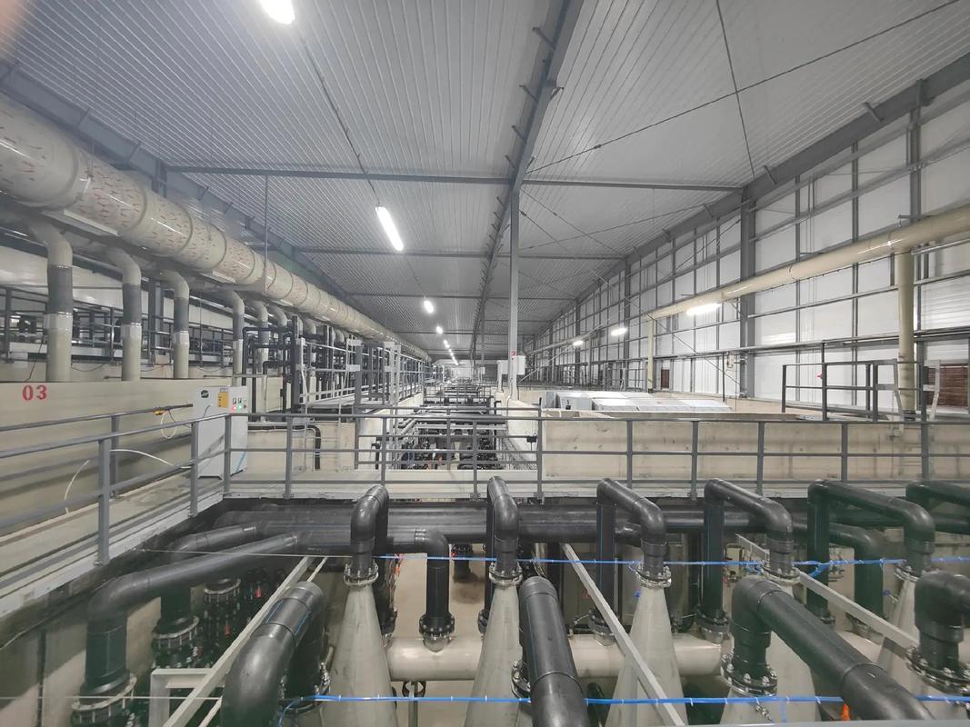 探訪全球最大單體鰻魚工廠化養(yǎng)殖基地 福建匯澤漁業(yè)如何引領(lǐng)水產(chǎn)品養(yǎng)殖新風尚